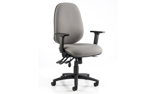 Kirton Task Chair with Arm Rests - Black - Plinth Medical
