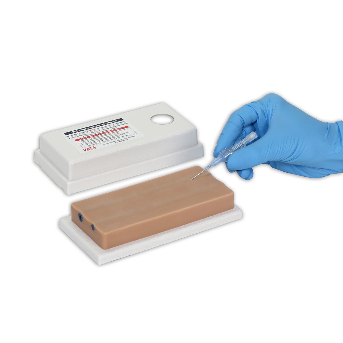 Two-Vein Venipuncture Training Aid - Dermalike II™ Latex Free - 3B Scientific