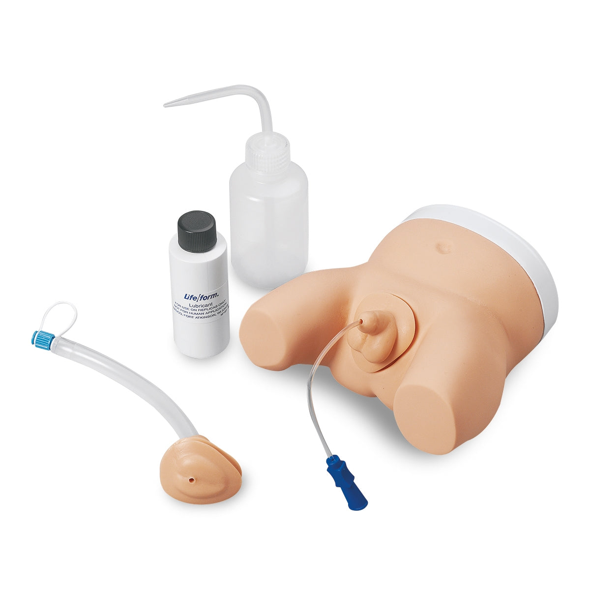 Infant Male and Female Catheterization Trainer - 3B Scientific