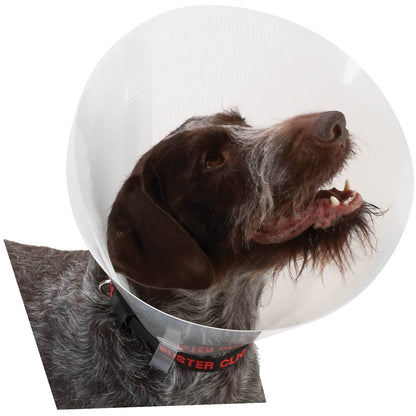 Buster Collar Transparent 40cm X 10 - MWI Animal Health