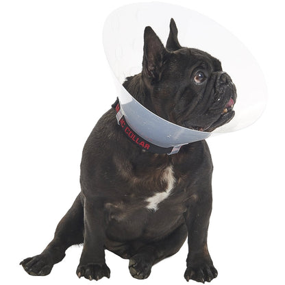 Buster E-Collar For Dogs Medium - Pack of 10 - MWI Animal Health