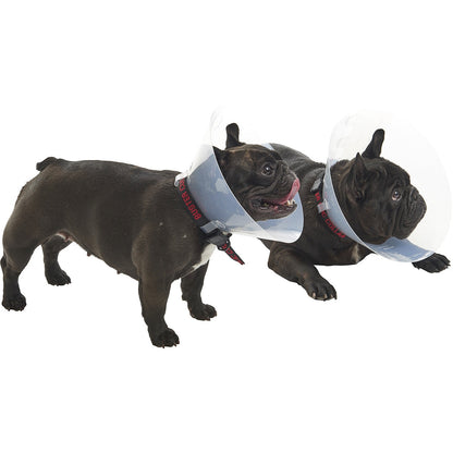 Buster E-Collar For Dogs Medium - Pack of 10 - MWI Animal Health