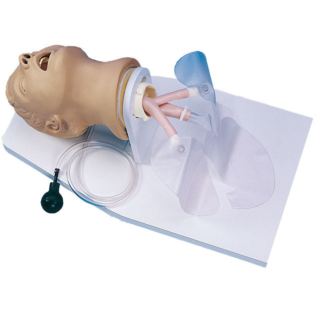 Adult Intubation Head Airway Larry - Erler Zimmer