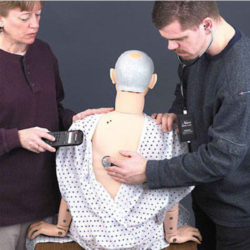 Auscultation Upgrade Kit for KERI Manikin - Erler Zimmer