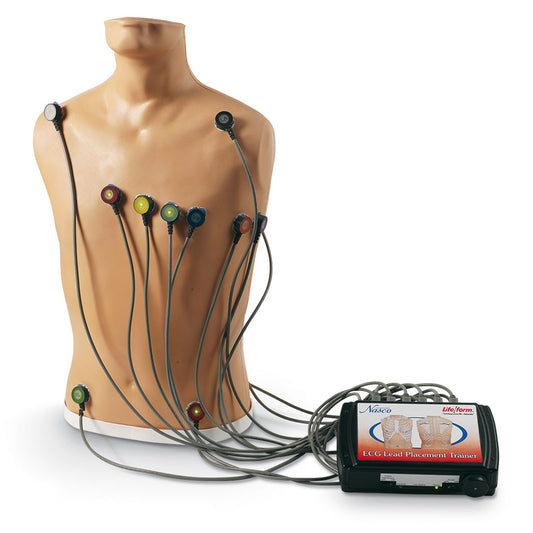 15-Lead ECG Placement Trainer - Erler Zimmer