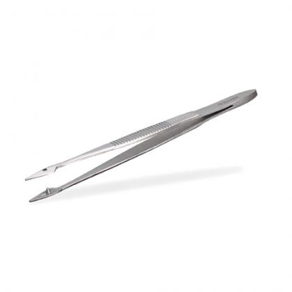 Forceps Hunter Splinter - Rocialle