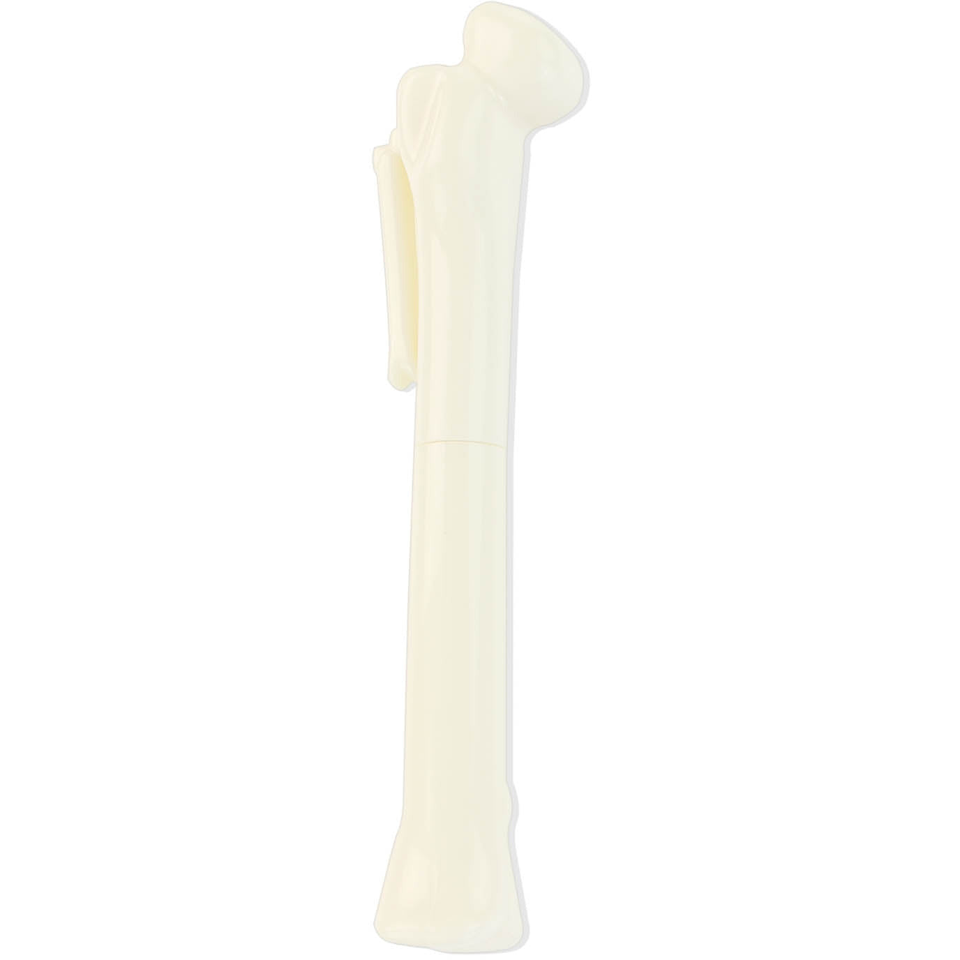 Femur Bone Shaped Pen – Medisave UK