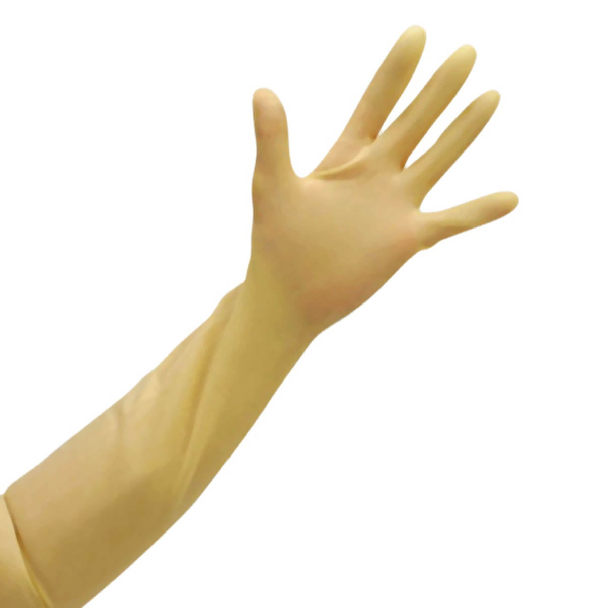 Premier Arm Length Latex Gauntlet PF Rubber Gloves (M) – Medisave UK