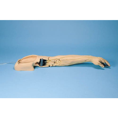 Intravenous Injection Training Arm