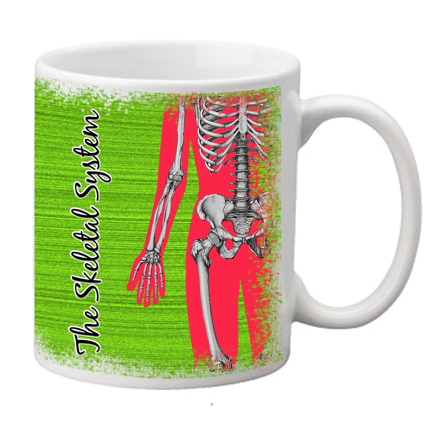 The Skeletal System Mug - Medinc